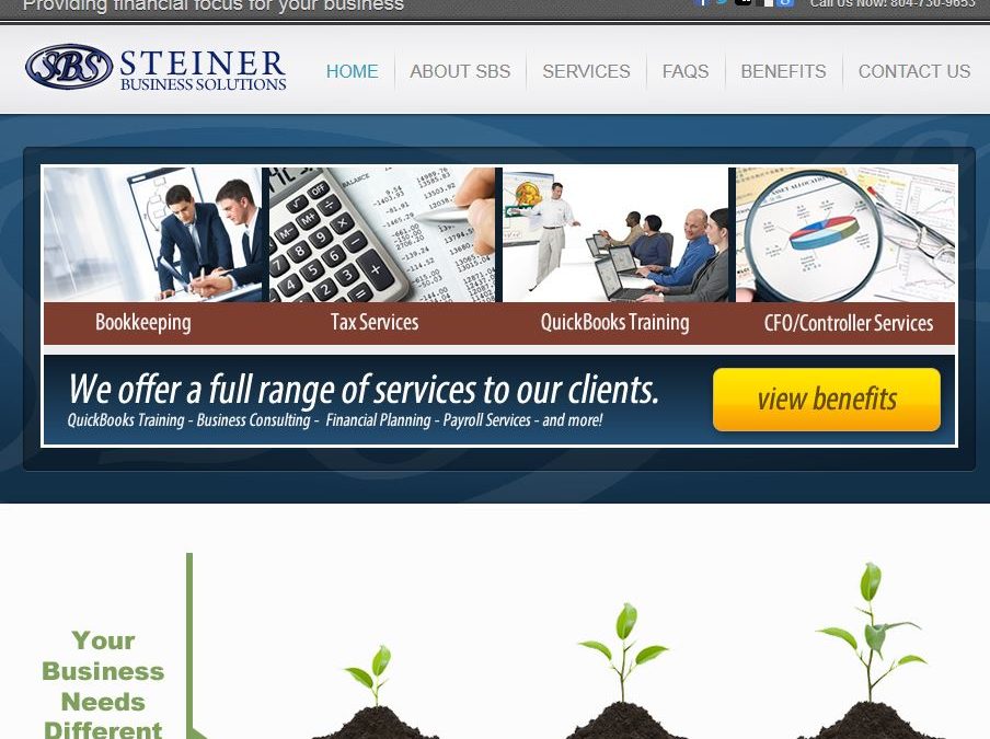 Steiner Business Solutions